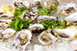 Photo: oysters on the half shell oysters on the half shell