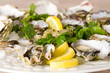 Foto: Oysters on the Half Shell Oysters on the Half Shell