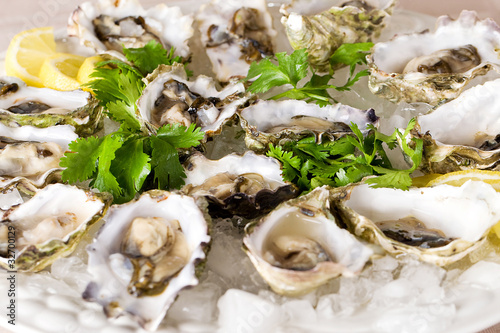 Photo: oysters on the half shell oysters on the half shell