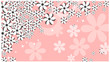 background, flower, stars beautiful white spring marguerite agai