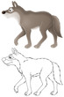 grey wolf