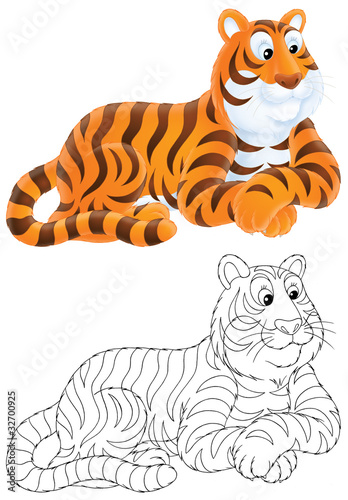 Illustrazione: Tiger Tiger