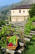 Jardin de montagne