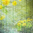 Background for congratulation card Background for congratulation card