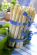 white asparagus just before cook white asparagus just before cook