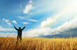 Man in yellow meadow