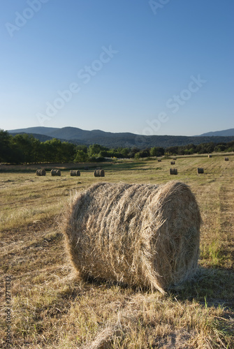 Photo: bala de heno bala de heno