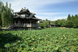 China Garden