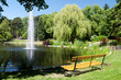 im Park
