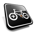 Elektrorad, E-bike button