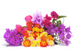 spring flowers