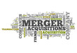 Word Cloud "Merger & Acquisitions"