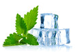 ice cube with leaf of