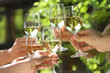 People holding glasses of white wine making a toast