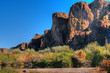 Desert River