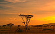 Photo: African sunset in the Serengeti National Park, Tanzania African sunset in the Serengeti National Park, Tanzania