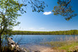 Forest lake Forest lake
