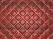 Red Alligator skin with stitched rectangles