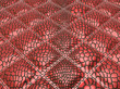 Red stitched Alligator skin with rectangles