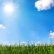 Foto: Sommerwiese Sommerwiese