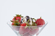 ����: Strawberries with creme and chocolate � Robert Sijan #32739308
