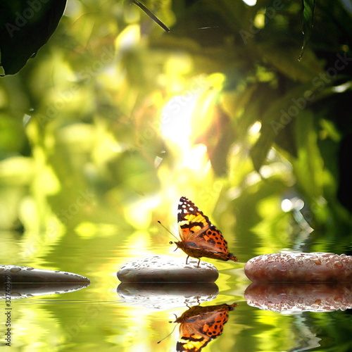 Photo : Natur Natur