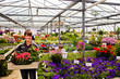 selling flowers in the greenhouse