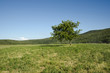 Tuscan Landscape