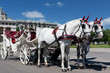 Fiaker in Wien Fiaker in Wien