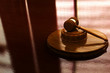 Judge Mallet