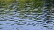 Wasserspiegelungen