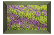 Tableau impressionniste  Jardin Floral