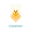 Logo wheat # Vector