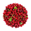 cherry bunch