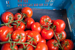 Tomaten
