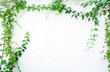 Green leaves frame - similar images available