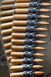 Photo: Cartridge Belt Cartridge Belt