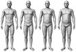 male morph - fit to fat