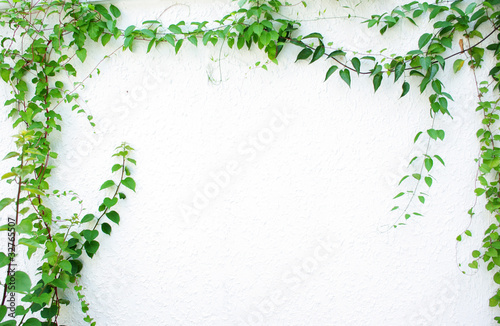 Photo: Green leaves frame - similar images available Green leaves frame - similar images available