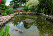 Foto: Gartenteich Gartenteich