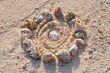 Photo: Muschelkreis am Meeresstrand Muschelkreis am Meeresstrand