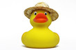 badente mit sonnenhut