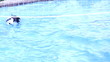 Dog swimming.