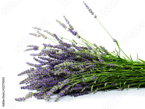 Photo: Lavender Lavender