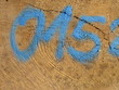 Holzquerschnitt mit Zahl