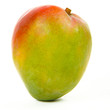 Mangue