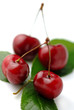 Cherries