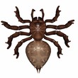 Spinne