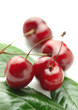 Cherries