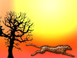 Fauna africana